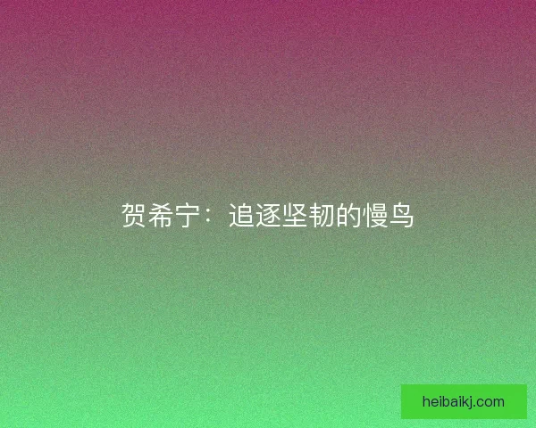 贺希宁：追逐坚韧的慢鸟